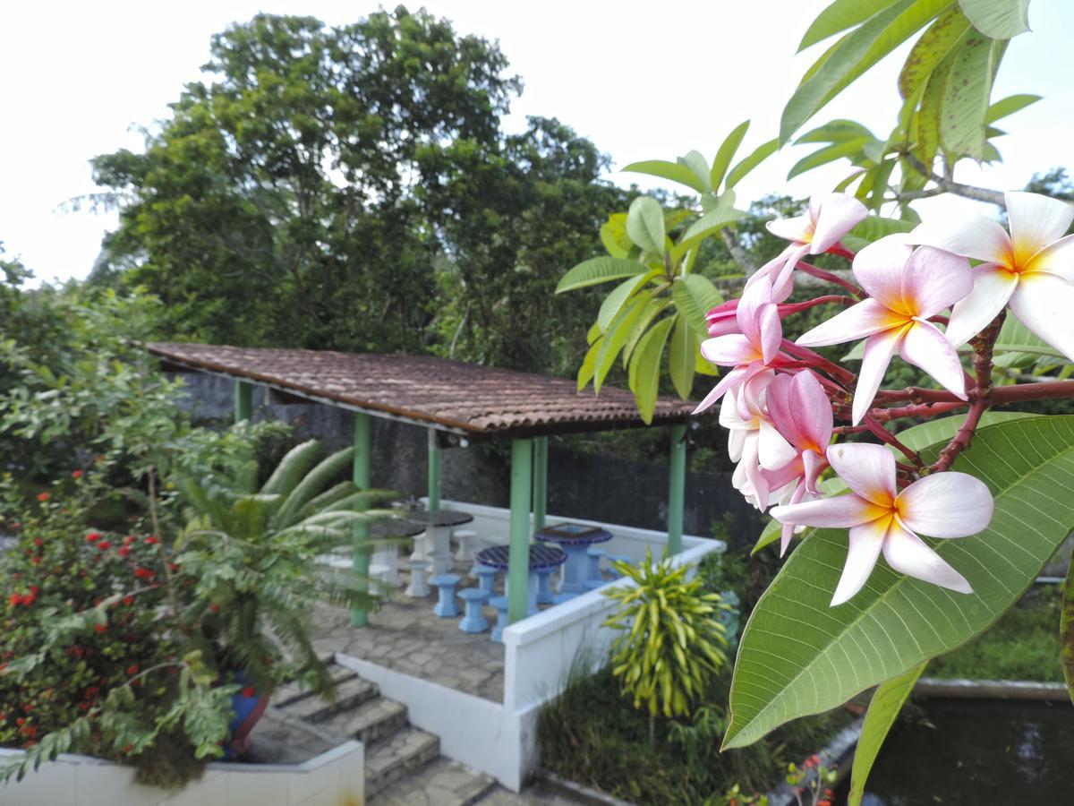 Pousada Paraiso Verde Conde  Extérieur photo